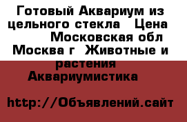 Готовый Аквариум из цельного стекла › Цена ­ 3 000 - Московская обл., Москва г. Животные и растения » Аквариумистика   